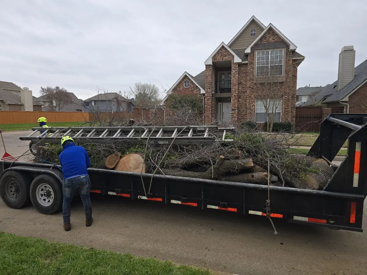 Expert Lot Clearing with proper safety equipment in Dunbar